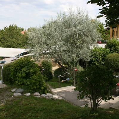 Img 3336